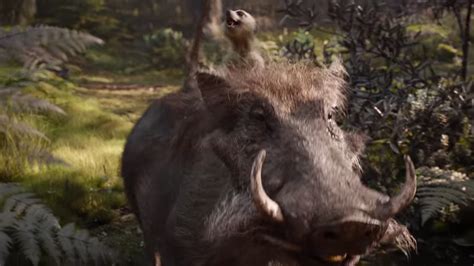 Disney Fans Are Terrified Of The Lion Kings Live Action Pumbaa Iheart