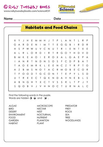 Habitats And Food Chains Word Search Teaching Resources