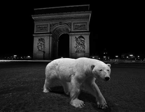 Les Animaux Envahissent Paris