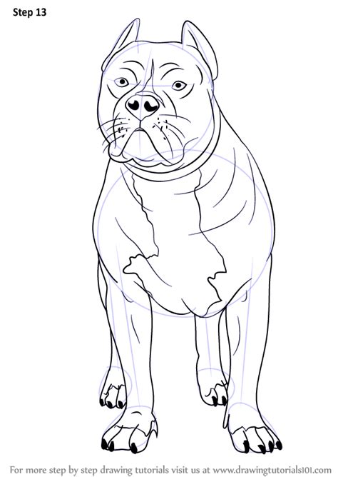 How To Draw A Pitbull Easy Step By Step