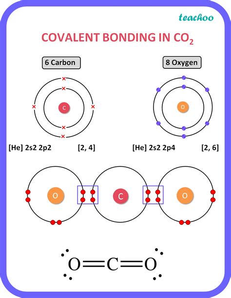 Class 10 Electron Dot Structure Of Carbon Dioxide With Formula Co2