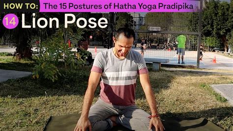 Hatha Yoga Pose 14 SIMHASANA Lion Pose YouTube
