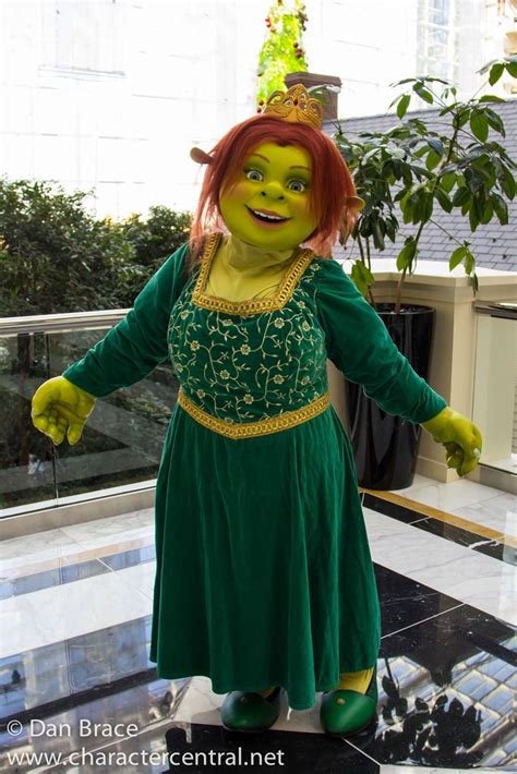 Fiona At Disney Character Central Princess Fiona Shrek Character