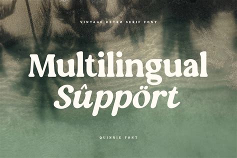 Quinnie Vintage Retro Serif Font Sensatype Studio