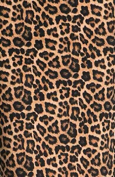 Cheetah Cheetah Print Wallpaper Cheetah Print Background Animal Print