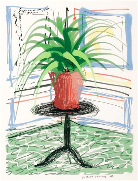 David Hockney Untitled Potted Plant Ipad Drawing Oliver Clatworthy