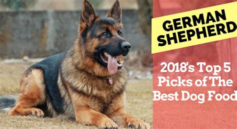 Assortment of flavors in small or large sized bags designed to suit your needs. 2020's Top 5 Picks of Best Dog Food For German Shepherds ...