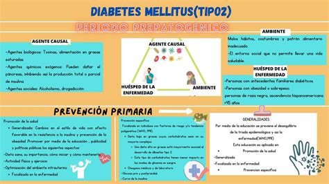 Diabetes Mellitus Tipo 2 Brenda Cecilia Zapata Garabito Udocz