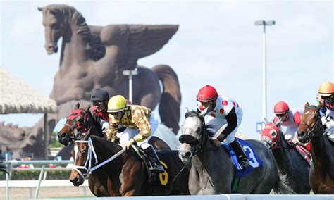 Nbc To Air Pegasus World Cup Invitational In January