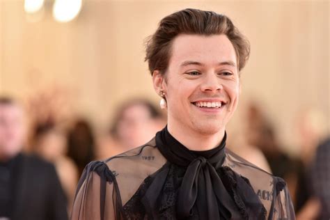 Harry Styles Stalker Convicted Banned From Going Near Singer