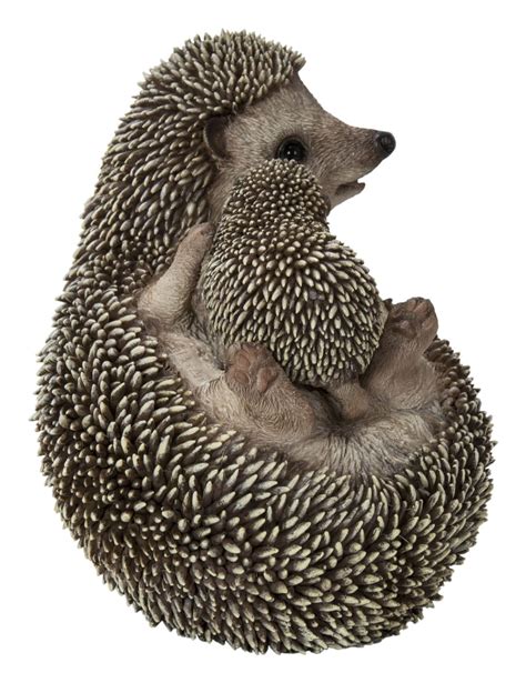 Mother And Baby Hedgehogs On Back In 2022 Baby Hedgehog Mother And