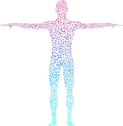 Free Human Body Png Images With Transparent Backgrounds