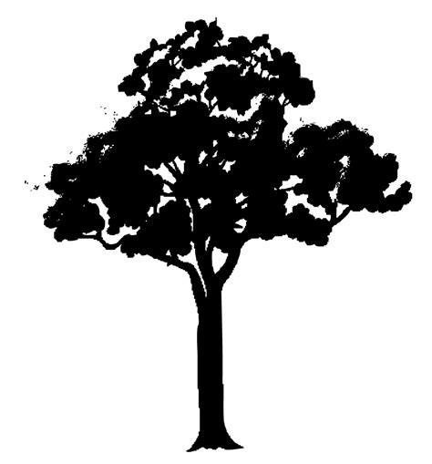 Tree Vector Png Black