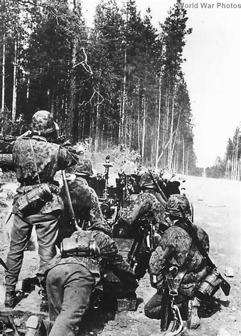 6th Ss Mountain Division Nord Man With 7 5cm Leig 18 In Finland World