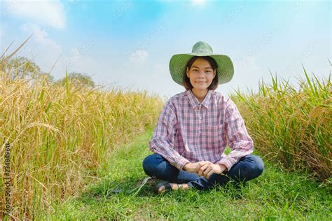 Smile Farmer Woman Wear Hat Using Sickle To Harvesting Rice Paddy In Rice Field Thailand Stock
