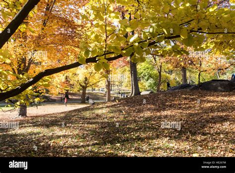 Fall Foliage In Central Park Nyc Stock Photo Alamy