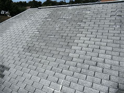 5 Ways To Identify Roof Damage By Hail Actionable Advice