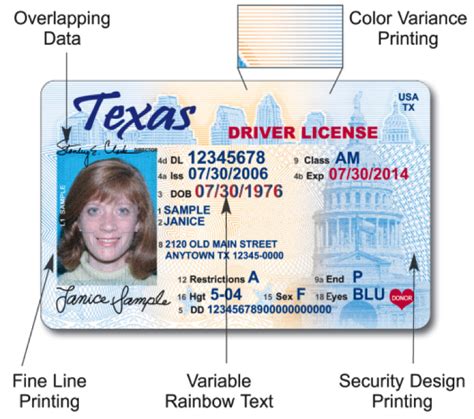 Texas Drivers License Format Wingsrenew