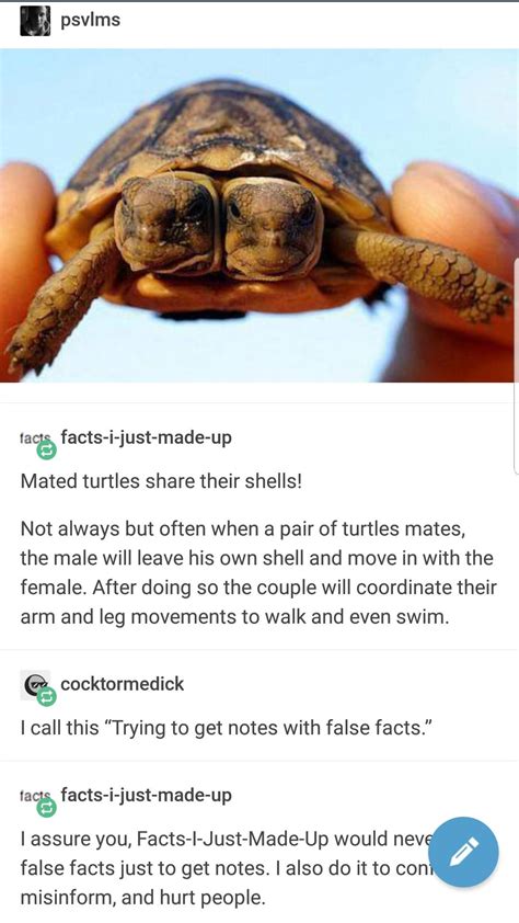 Interesting Facts About Turtles ZOHAL