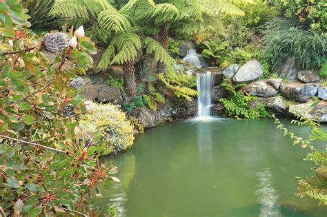 Tranquil Waterfall In Lush Environment Mt Tomah Australia Stock Image