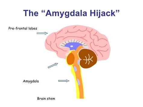 Keep Smiling The Amygdala Hijack