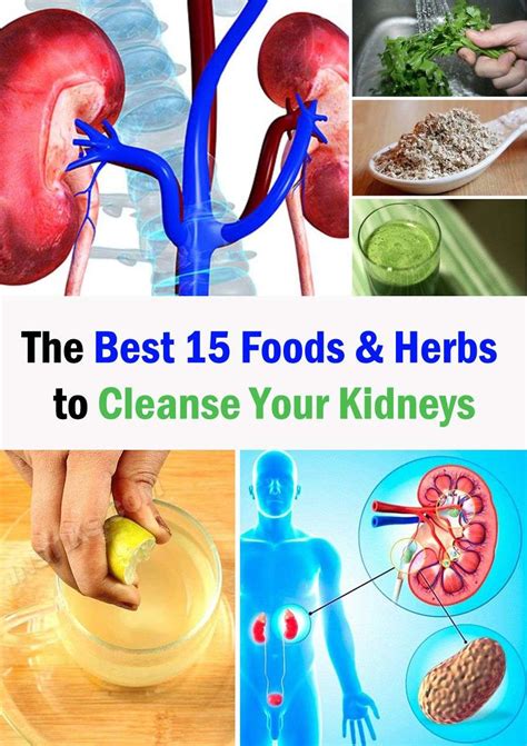 Does Water Cleanse The Kidneys