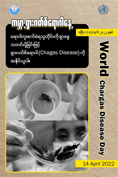 World Chagas Disease Day April Ministry Of Health Moh Myanmar