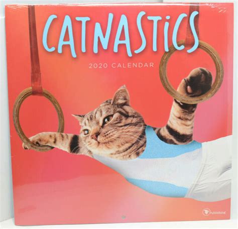 2020 Cat Gymnastics Catnastics Wall Calendar EBay