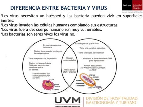 Cuadros Comparativos Entre Bacterias Y Virus Diferencias Y Semejanzas