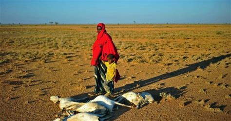 Millions Face Hunger In Horn Of Africa Due To Drought Enca