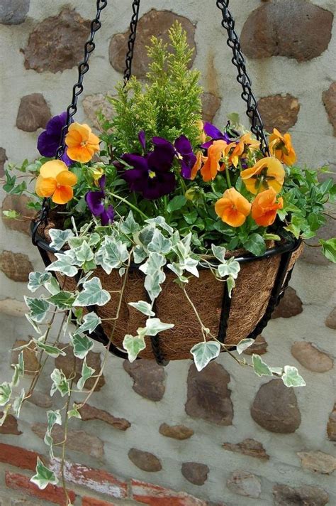 35 Creative Blooming Hanging Baskets For Garden Year Round Decrooa