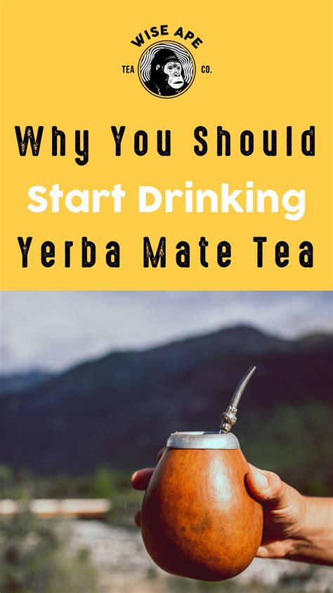 The Science Behind Yerba Mate Health Benefits Artofit