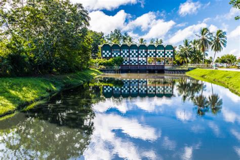 Suriname ist ein staat in südamerika und flächenmassig das kleinste auf weltkarte.com finden sie eine vielfalt von links zu kostenlosen online weltkarten, landkarten. Suriname - Der Zwerg unter den Südamerikanerm | Travelmyne.de