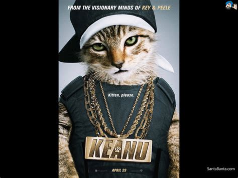 Keanu movie quotes tell the story of two cousins who take to the inner city streets in order to rescue a stolen kitten. Keanu Movie Wallpaper #1