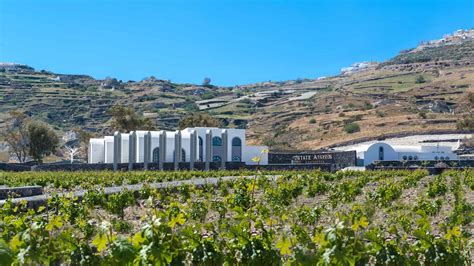 The Worlds Best Vineyards In Greece