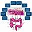 New Trends In Molecular And Cellular Biomarker Discovery For Colorectal 