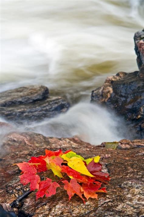 Red Fall Leaves Waterfall Photo Information