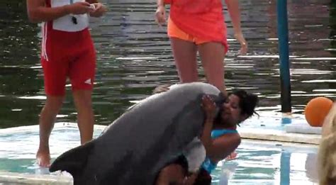 Caught On Video Hilarious Moment An Amorous Dolphin Leaped Out Of The