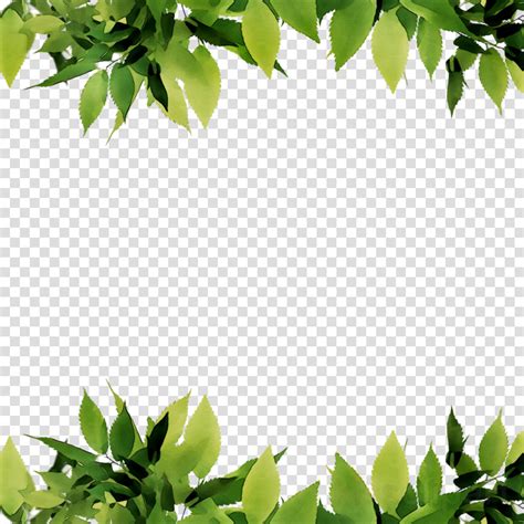 Green Leaf Background Clipart Leaf Green Tree Transparent Clip Art