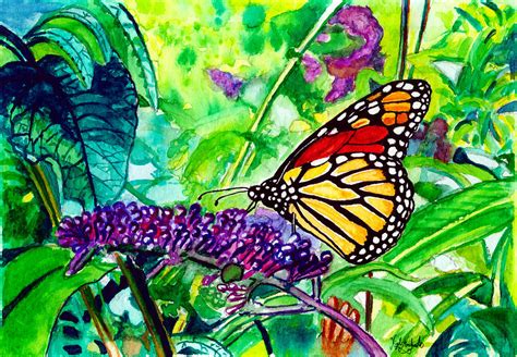 Monarch Butterfly Painting By Nigel Andreola Fine Art America