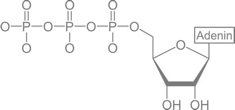 Aufbau p_mdezx aus p_mdpsx) is a standard function module in sap erp and is part of the function group atp4 within the package. Nährstoffe und chemische Grundlagen der ...