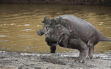 Check spelling or type a new query. The Dinosaurs and Prehistoric Animals of Russia