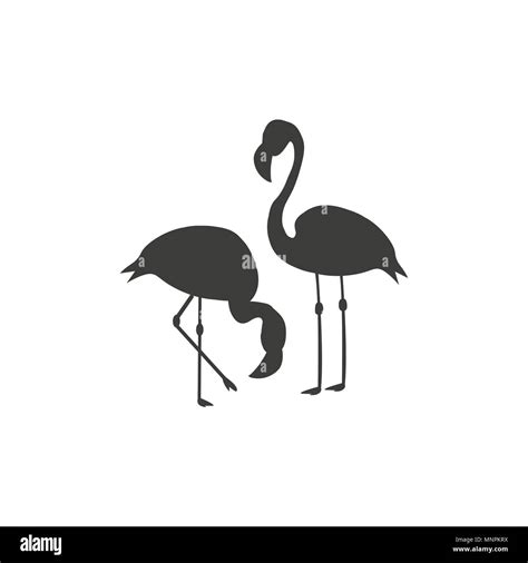 Two Flamingos Icon Vector Illustrator On White Background Stock