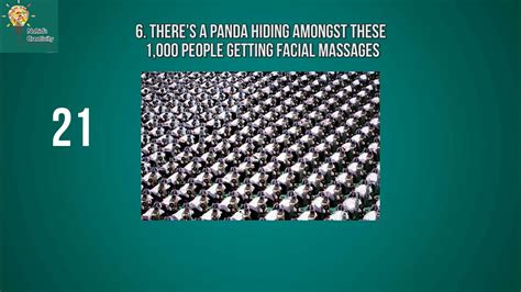 Top 10 Best Find The Hidden Panda Puzzles Only Genius Can Find The