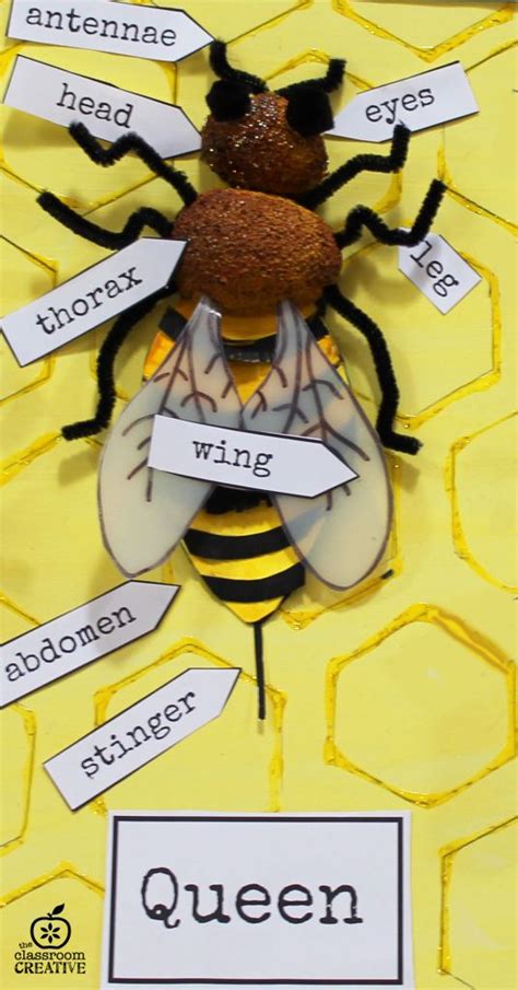 Unlock The Secret Life Of Bees With This Educational Kids Craft And