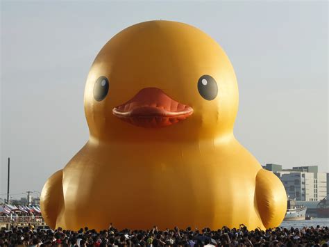 How Deflating Huge Rubber Duck Goes Flat In Taiwan Colorado Public Radio