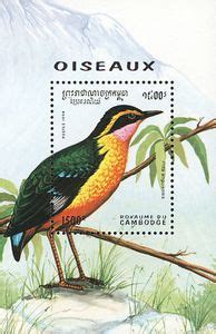 Stamp African Pitta Pitta Angolensis Cambodia Birds 1994 Mi KH