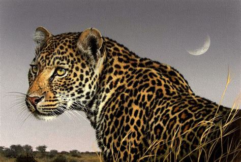 Leopards Moon By Fuz Caforio Art On Deviantart Animal Paintings