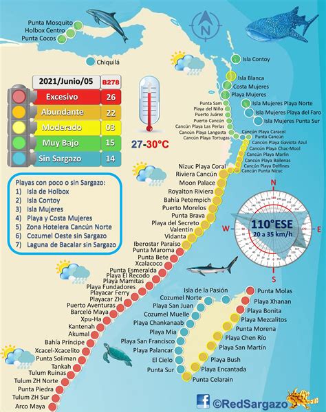 ‪mapa De La Red De Monitoreo Del Sargazo De Quintana Roo فېسبوک‬