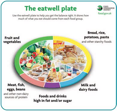It includes everything you eat and drink on a daily basis, allowing you to achieve a healthy balanced diet. Beta Fitness: Confessions of the trainer: Low carbohydrate ...